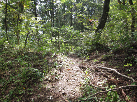 20191031hike (169)